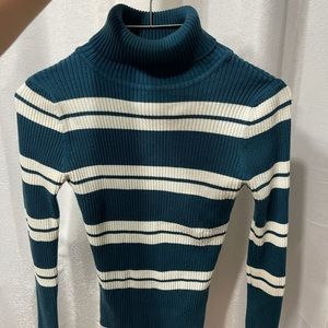 Striped Cozy Turtle Neck